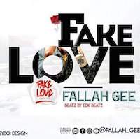 Fallah Gee - Fake Love